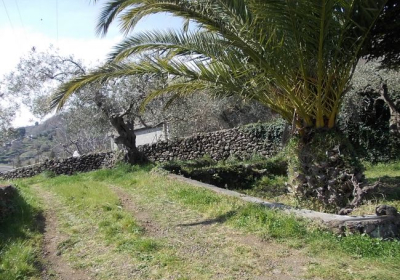 Casa Vacanze Cantu D'ariddi